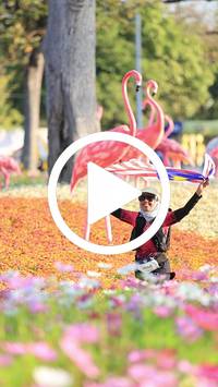 BIB:  <button type="button" onclick="openModal(27583416)" class="btn btn-primary btn-sm float-right" data-toggle="modal" data-target=".modal-high-quality">
                <i class="fa fa-download"></i> Download
                </button>